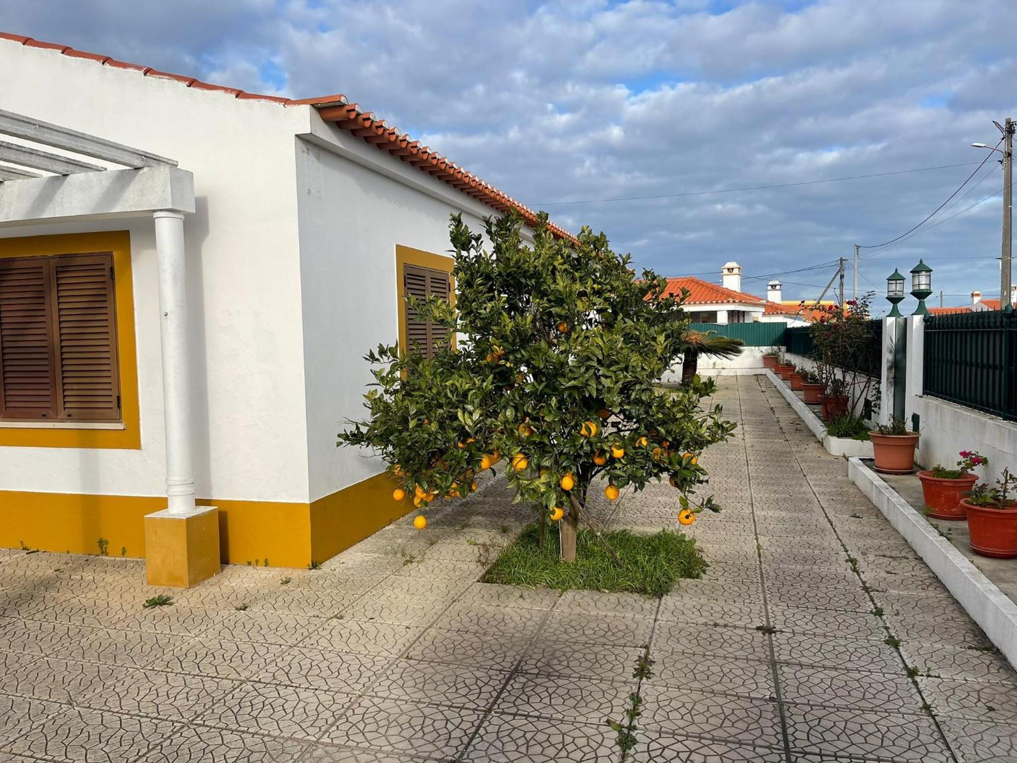Luz E Sal By Stay In Alentejo Cavaleiro المظهر الخارجي الصورة